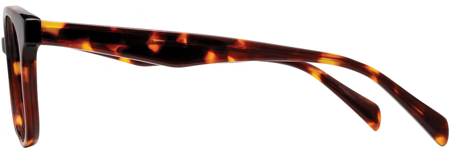 Adin Thomas AT664 Eyeglasses - view 11